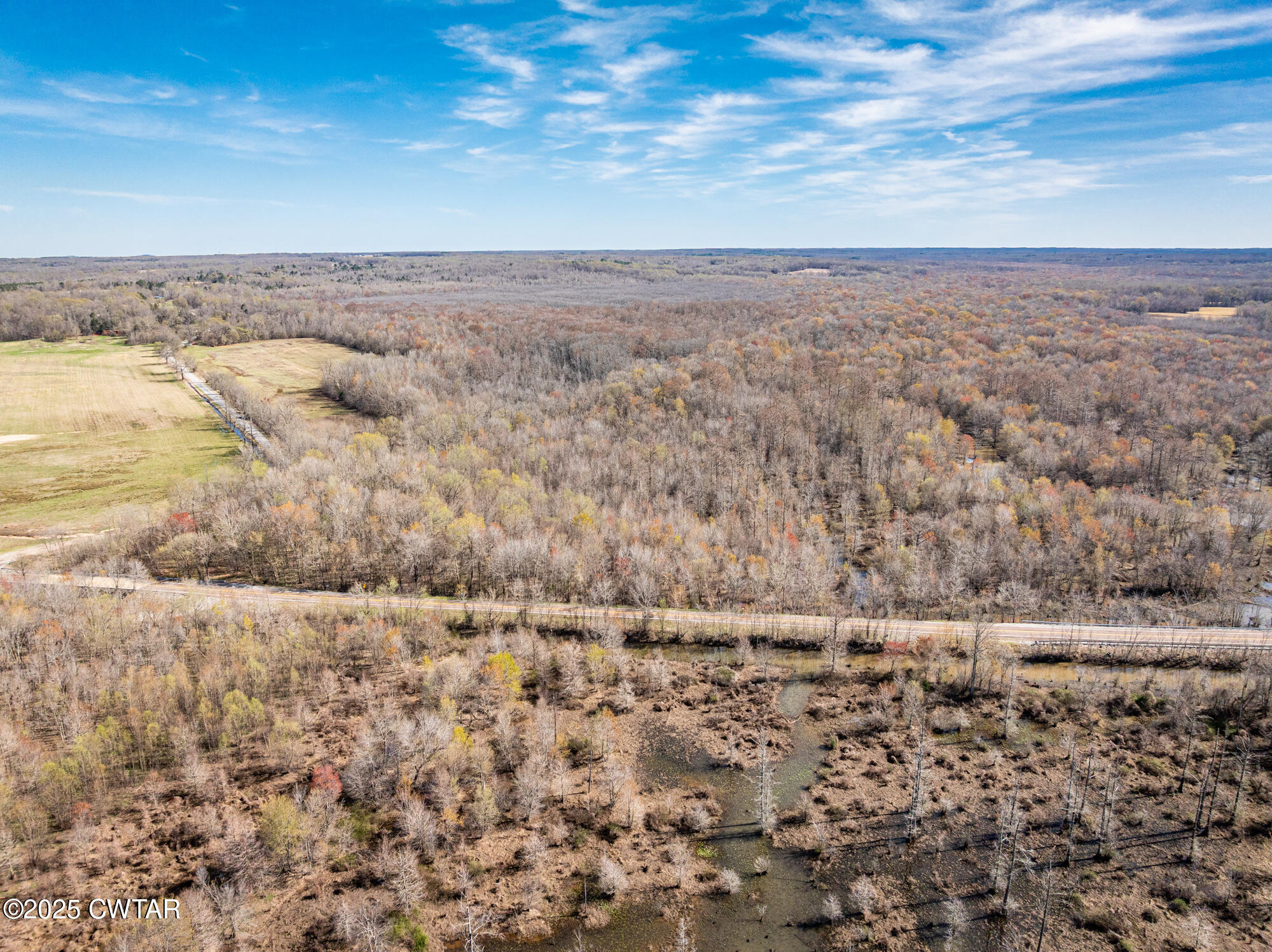 0 Lavinia Road Lavinia, TN 38348 - Photo 15 of 26