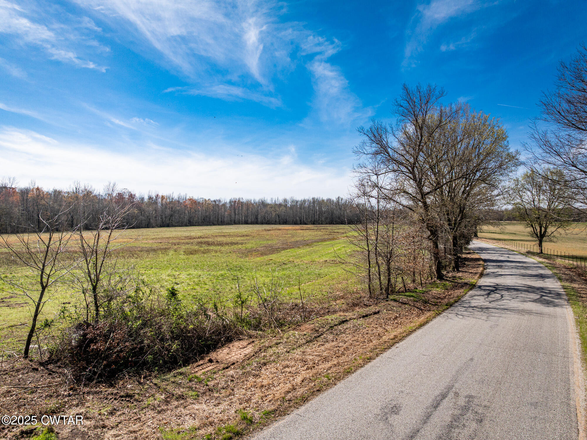 0 Lavinia Road Lavinia, TN 38348 - Photo 19 of 26 a view of a lake with a yard