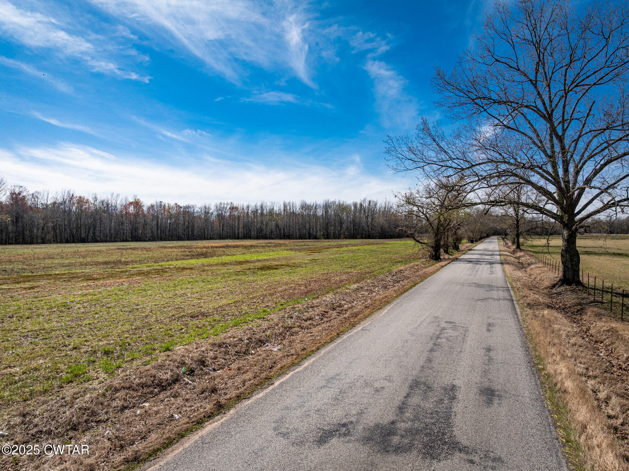 0 Lavinia Road Lavinia, TN 38348 - Photo 20 of 26 a view of an outdoor space with a lake view