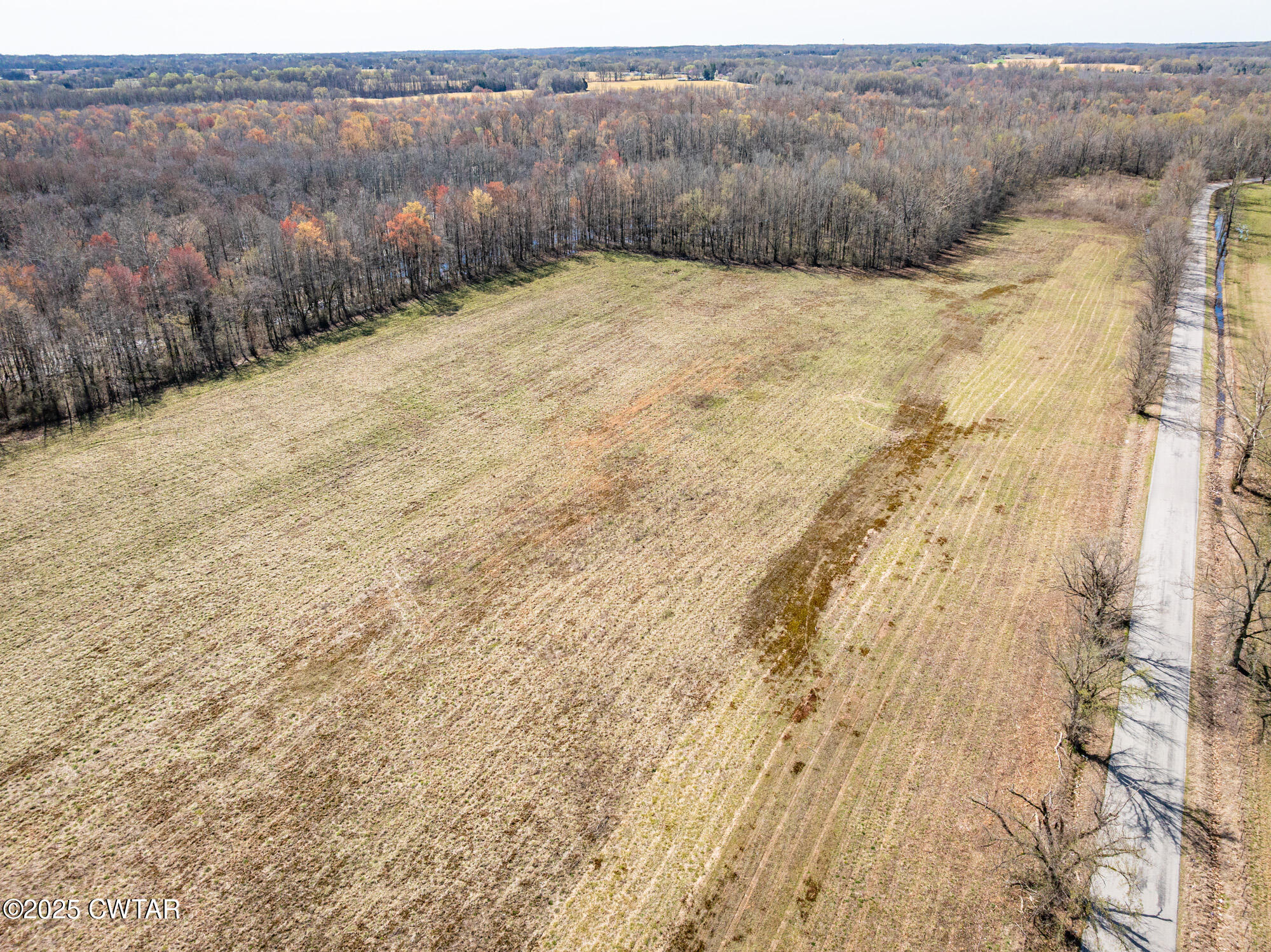 0 Lavinia Road Lavinia, TN 38348 - Photo 22 of 26 a view of a yard