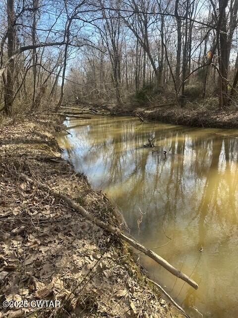 0 Lavinia Road Lavinia, TN 38348 - Photo 24 of 26 a view of lake