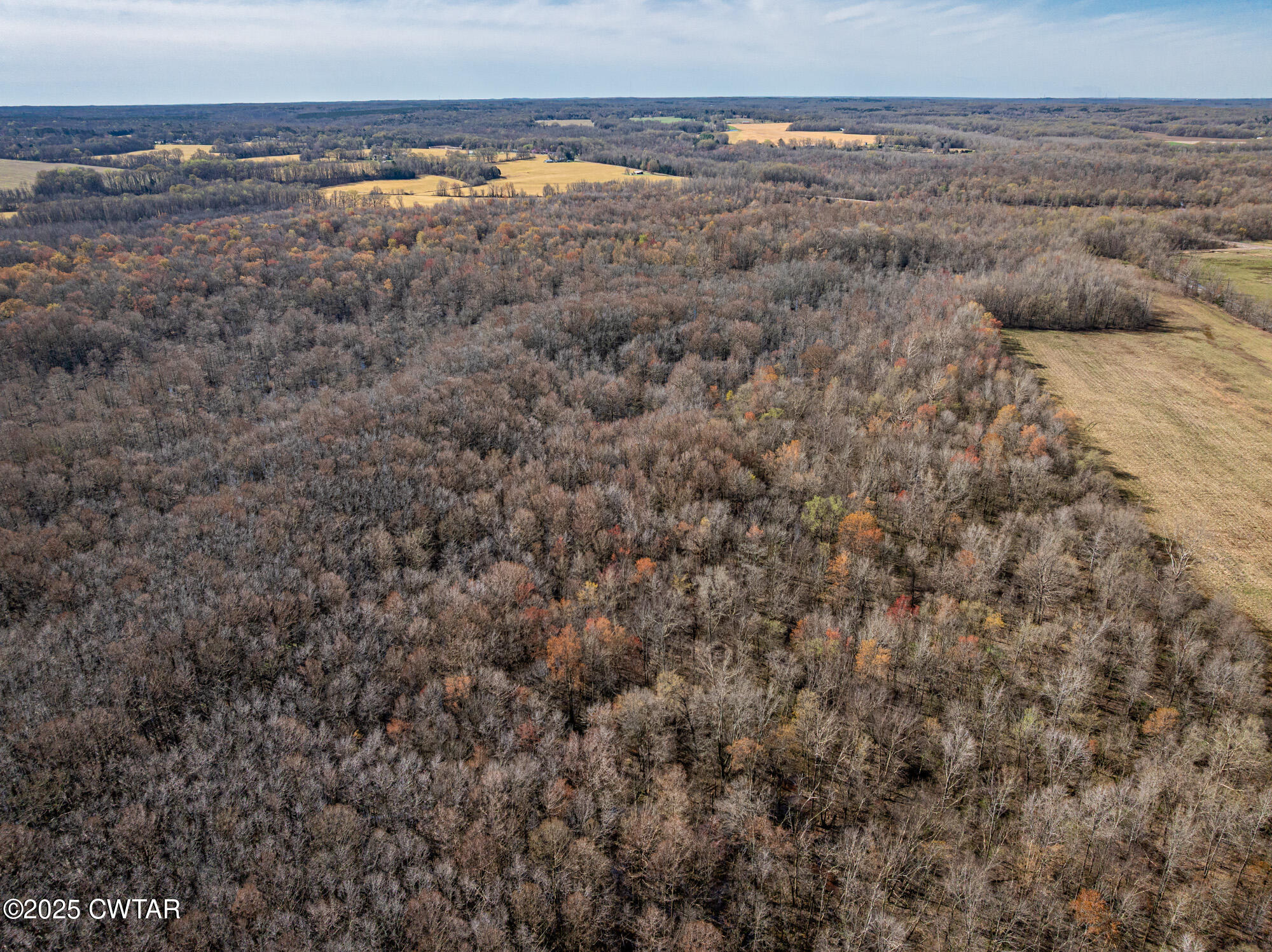 0 Lavinia Road Lavinia, TN 38348 - Photo 5 of 26 a view of an ocean beach