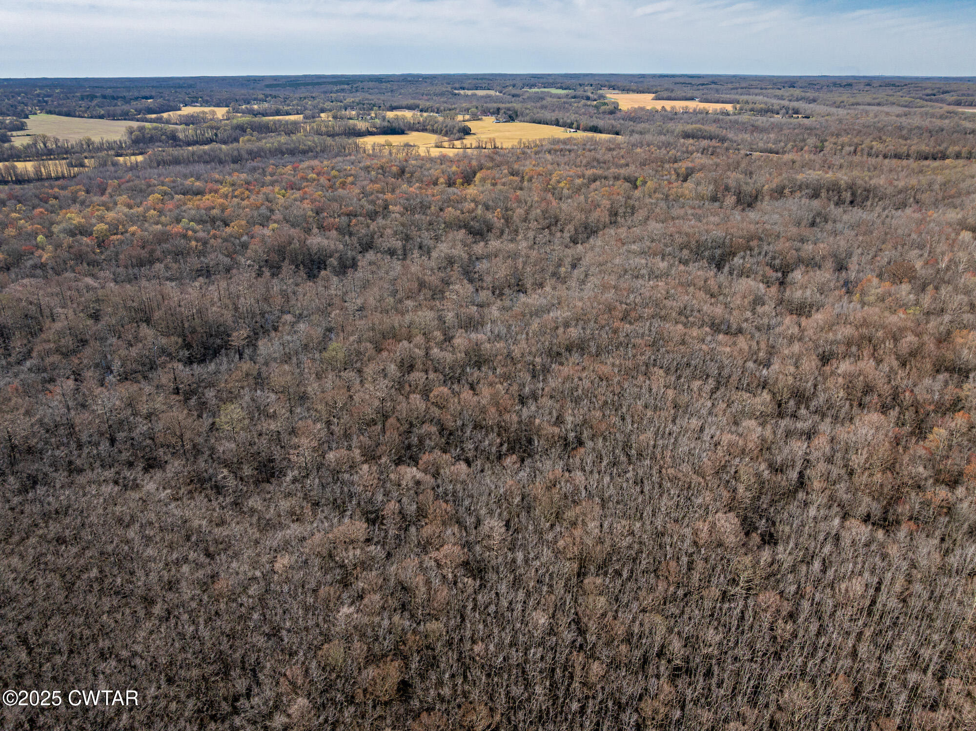 0 Lavinia Road Lavinia, TN 38348 - Photo 6 of 26 a view of a field with an outdoor space