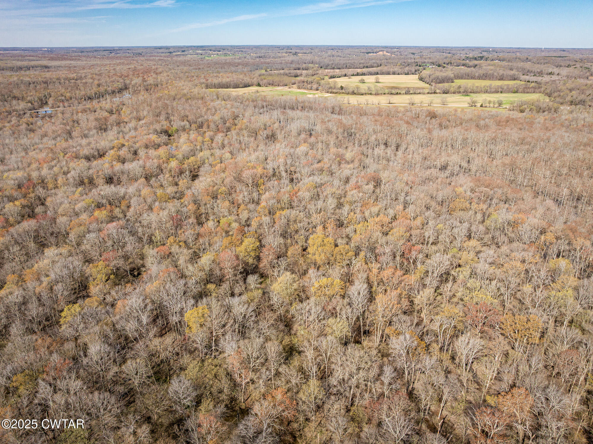 0 Lavinia Road Lavinia, TN 38348 - Photo 8 of 26 a view of an ocean