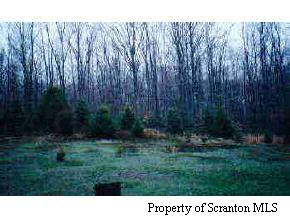 2455 Hamlin Road Moscow, PA 18444 - Photo 2 of 2 Additional Photo