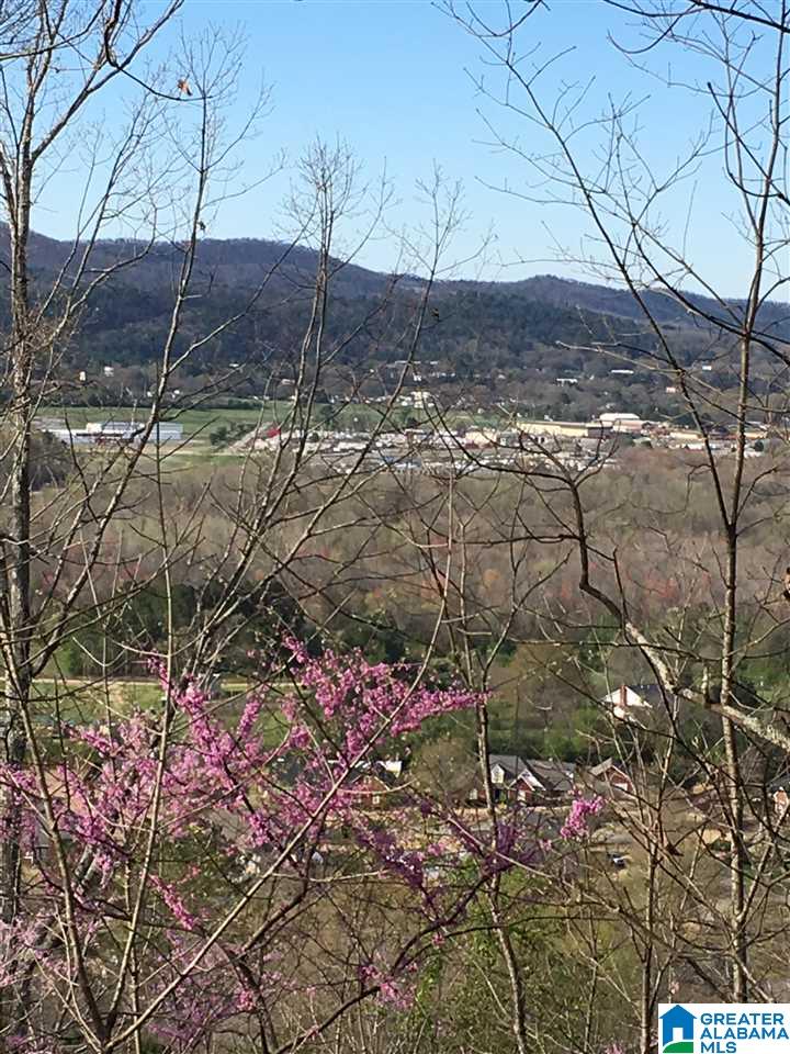 230 County Line Road Oxford, AL 36203 - Photo 28 of 50