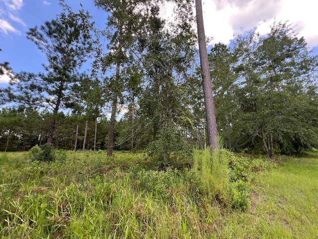 19 Windmill Palm Brunswick, GA 31523 - Photo 2 of 29