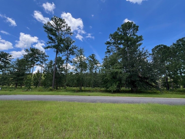 19 Windmill Palm Brunswick, GA 31523 - Photo 6 of 29