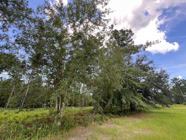 19 Windmill Palm Brunswick, GA 31523 - Photo 7 of 29
