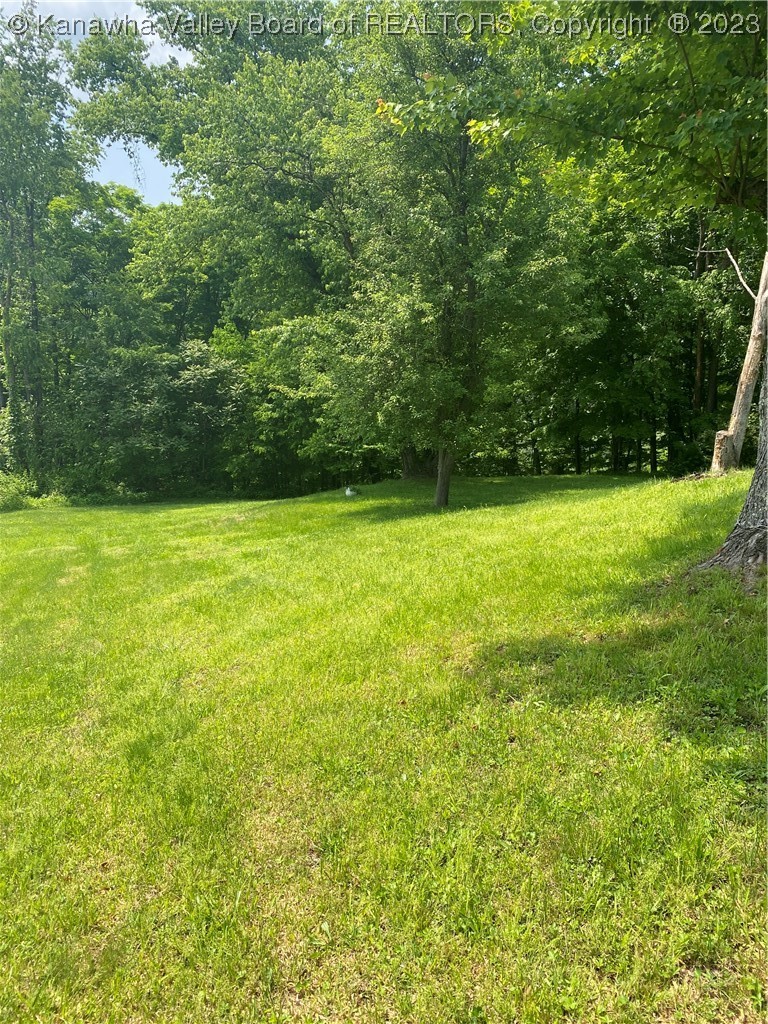 749 Timber Lane Elkview, WV 25071 - Photo 6 of 40 Gallery Image 6