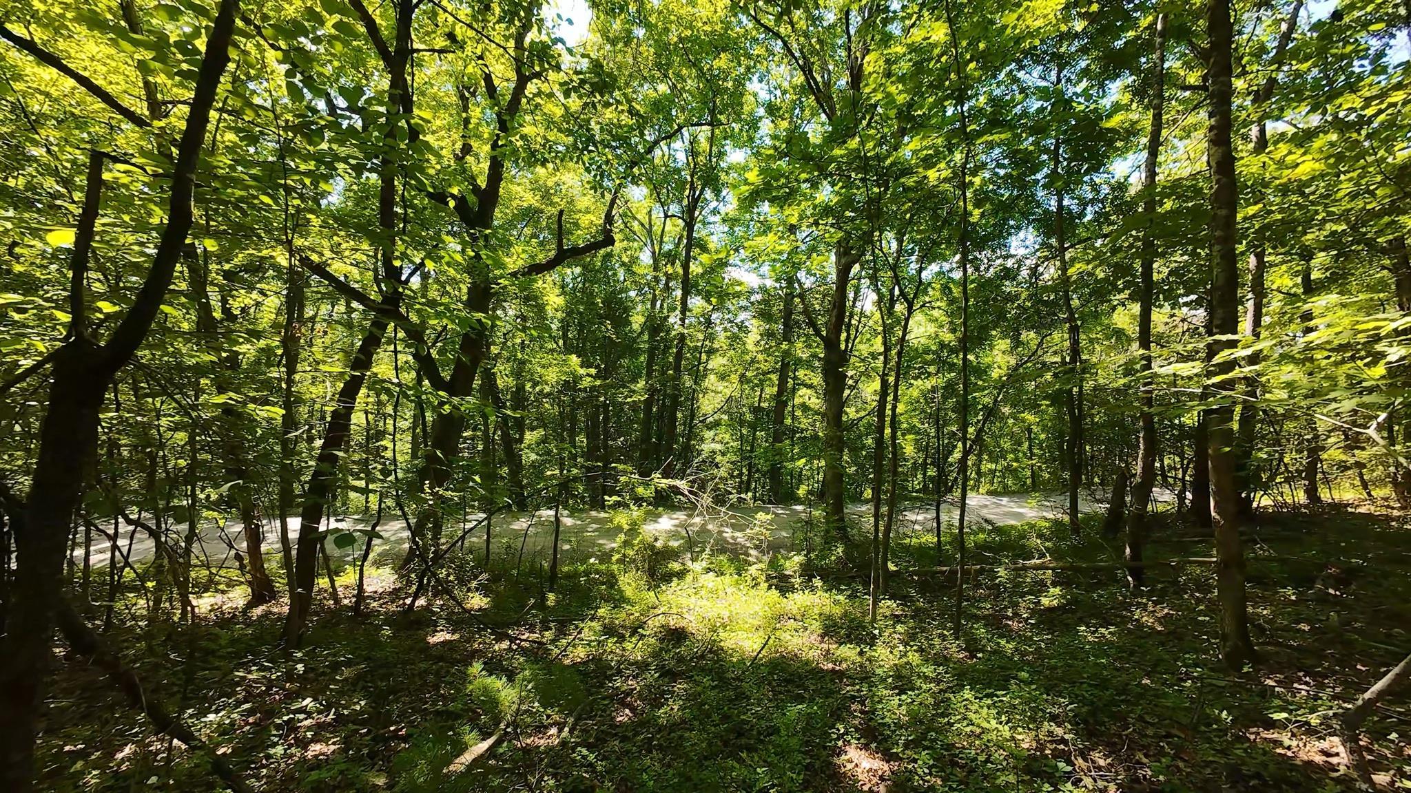 Tbd Broad Shoals Road Riner, VA 24149 - Photo 6 of 13 Gallery Image 6