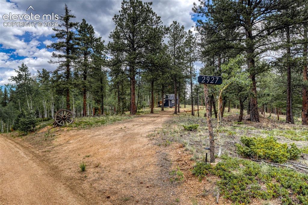 2927 Pathfinder Road Florissant, CO 80816 - Photo 2 of 37