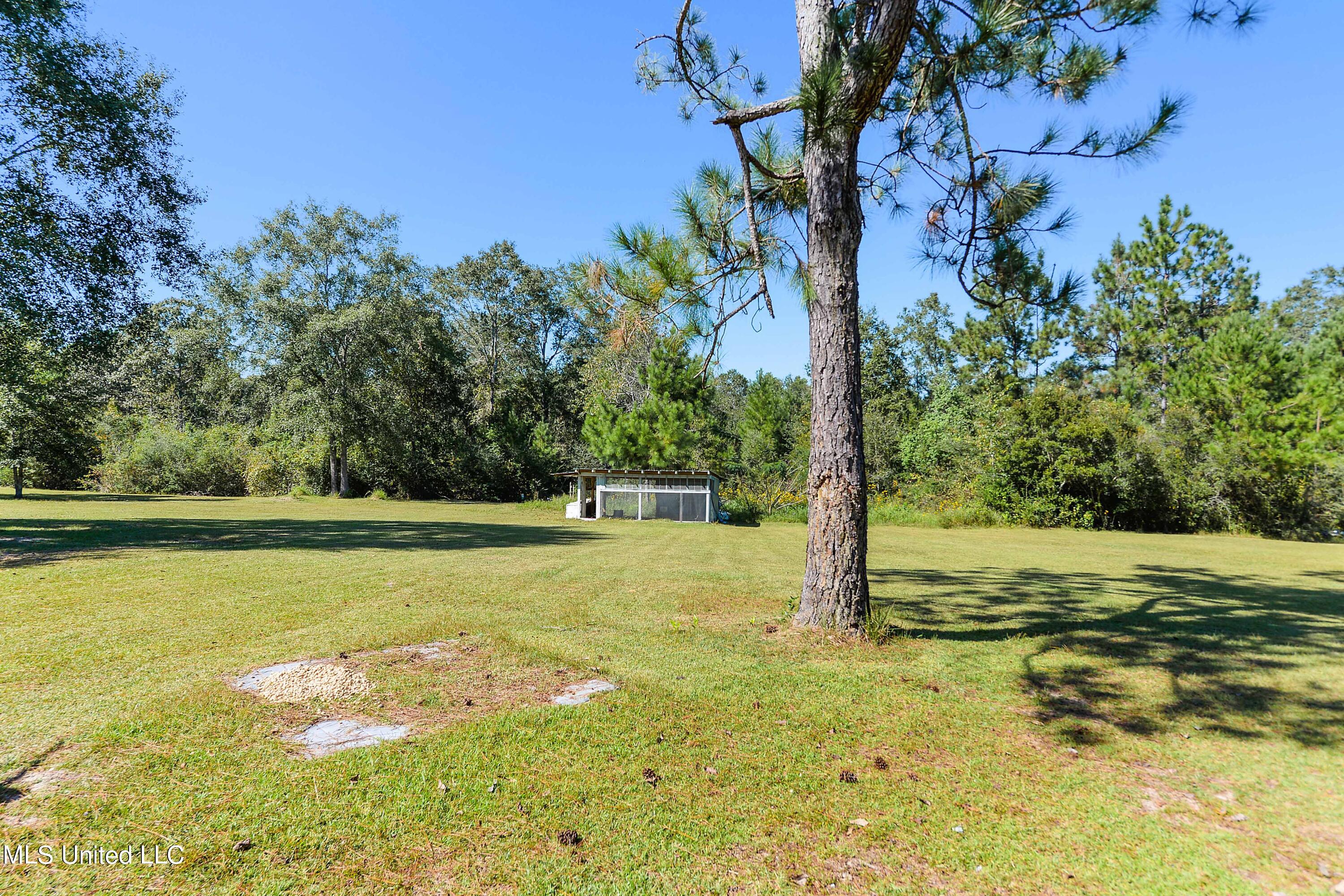 24 Silver Run-Progress Road Perkinston, MS 39573 - Photo 21 of 21 021