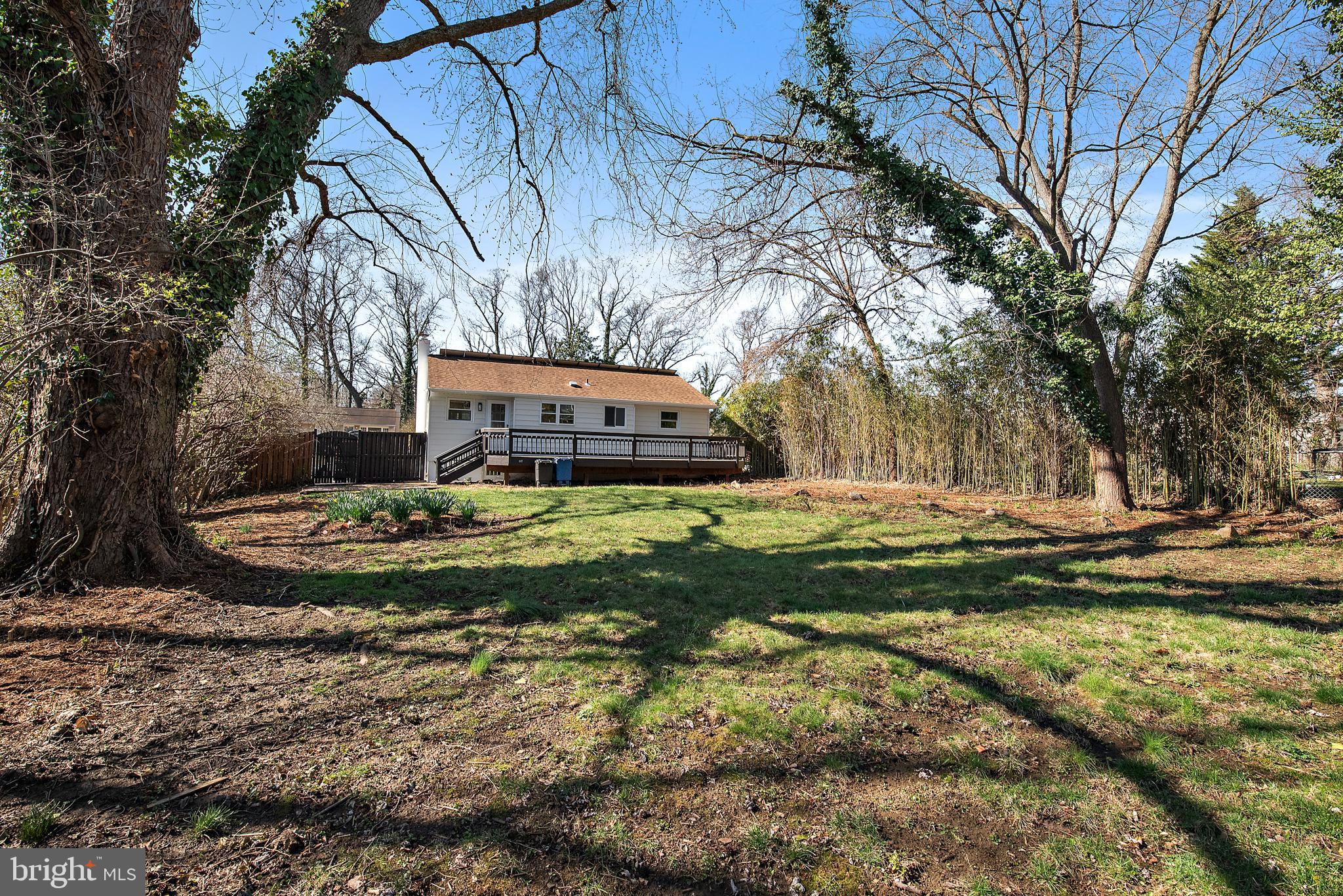 746 Warren Drive Annapolis, MD 21403 - Photo 11 of 47 Backyard