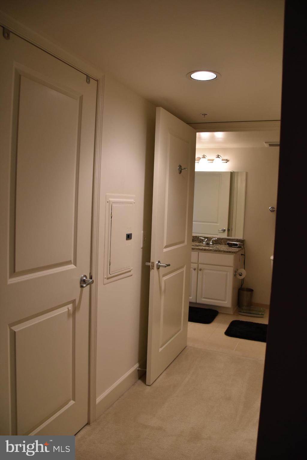 11800 Sunset Hills Road, Unit 1103 Reston, VA 20190 - Photo 13 of 46 Hall leading from BR to the BR has two closets