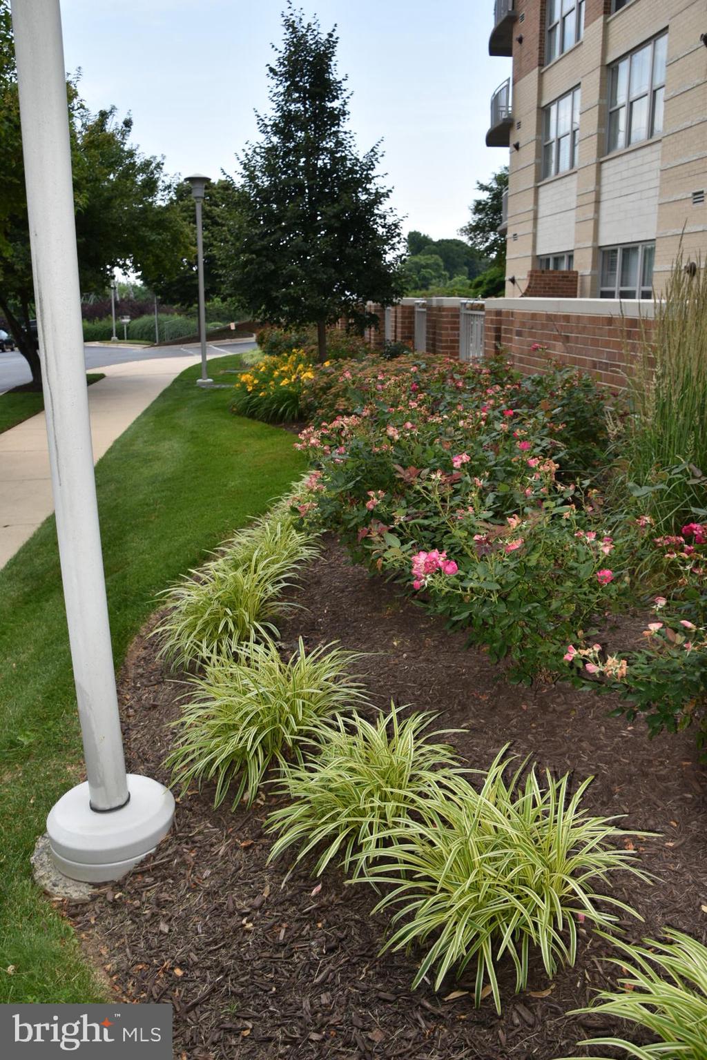 11800 Sunset Hills Road, Unit 1103 Reston, VA 20190 - Photo 44 of 46 Pristine landscaping