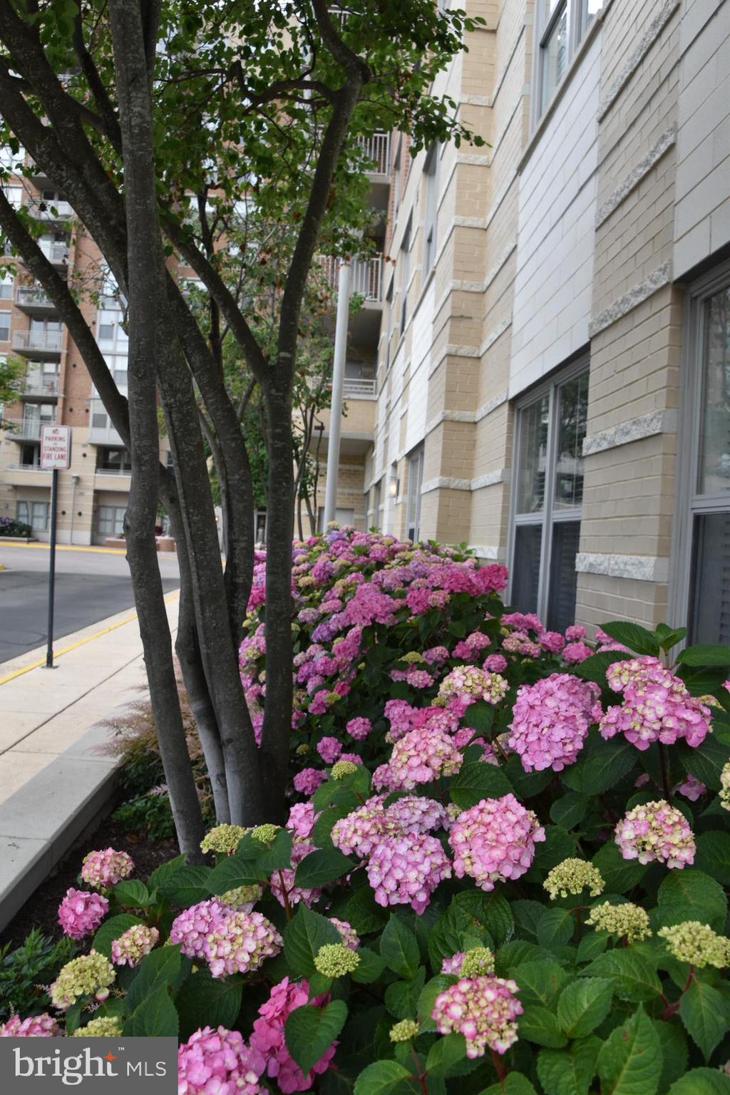 11800 Sunset Hills Road, Unit 1103 Reston, VA 20190 - Photo 45 of 46 Grounds are immaculate