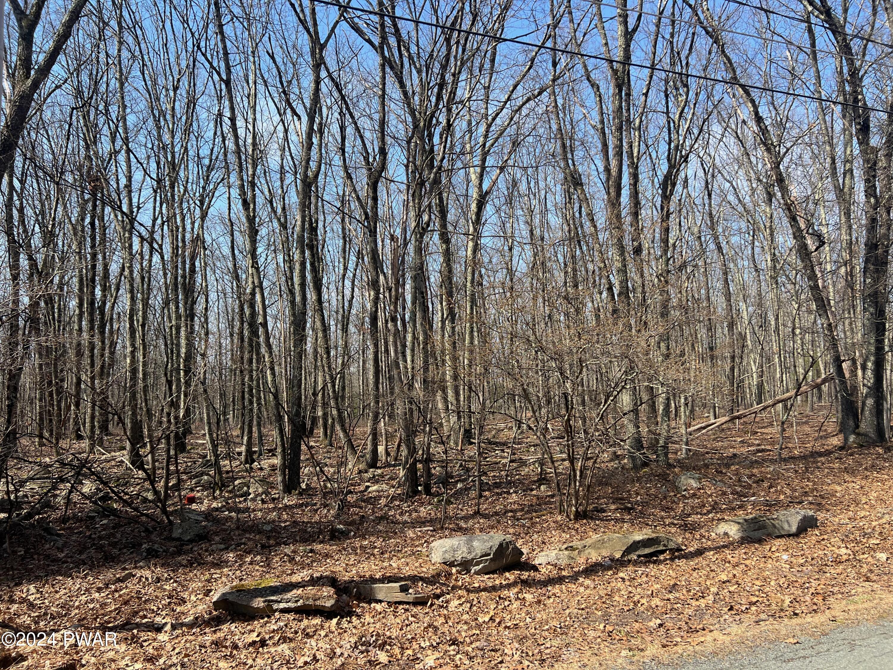 Lot 327 Ridgewood Lane Hawley, PA 18428 - Photo 18 of 30