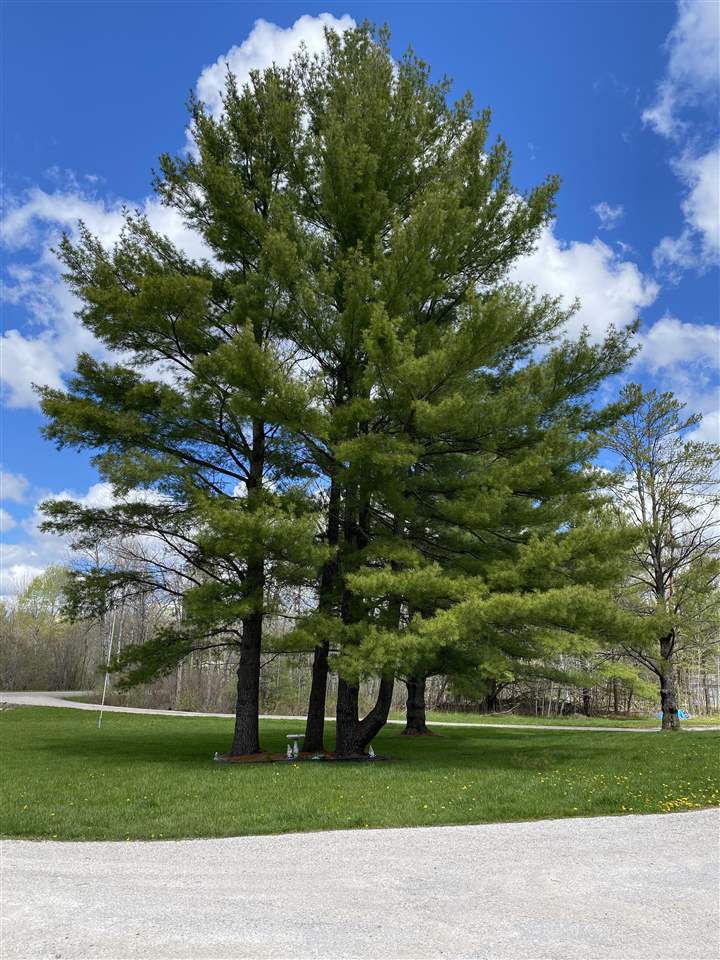 5354 South Branch Road Long Lake, MI 48743 - Photo 76 of 95 Gallery Image 76
