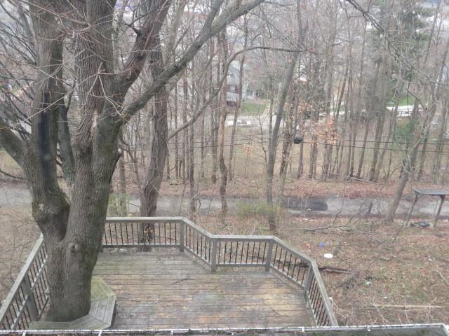 4 Terrace Avenue Carnegie, PA 15106 - Photo 28 of 28