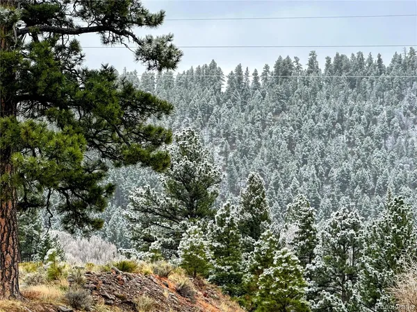 $395,000 | 394 Tixier Ramirez Circle, Antonito, CO 81120