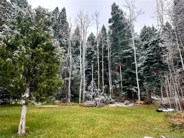 $395,000 | 394 Tixier Ramirez Circle, Antonito, CO 81120