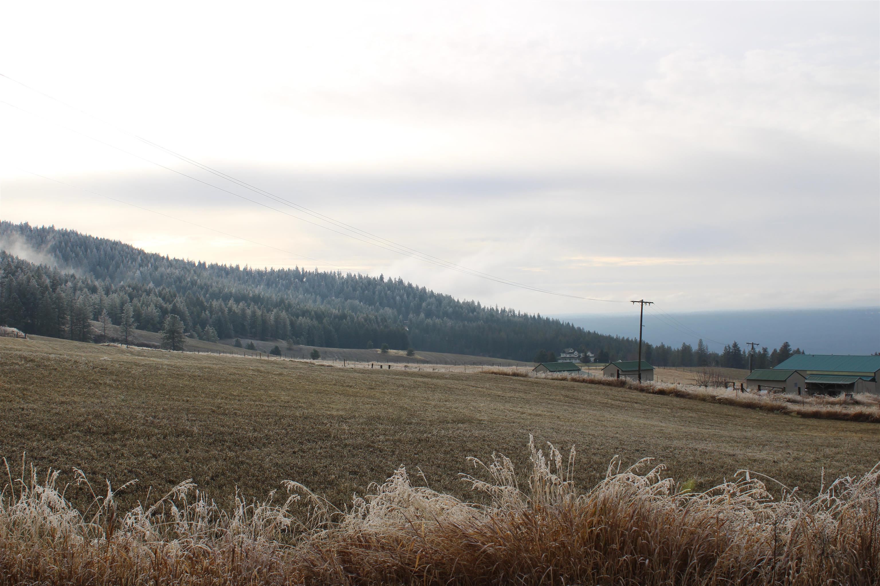 7601 West Bernhill Road Spokane, WA 99208 - Photo 31 of 38