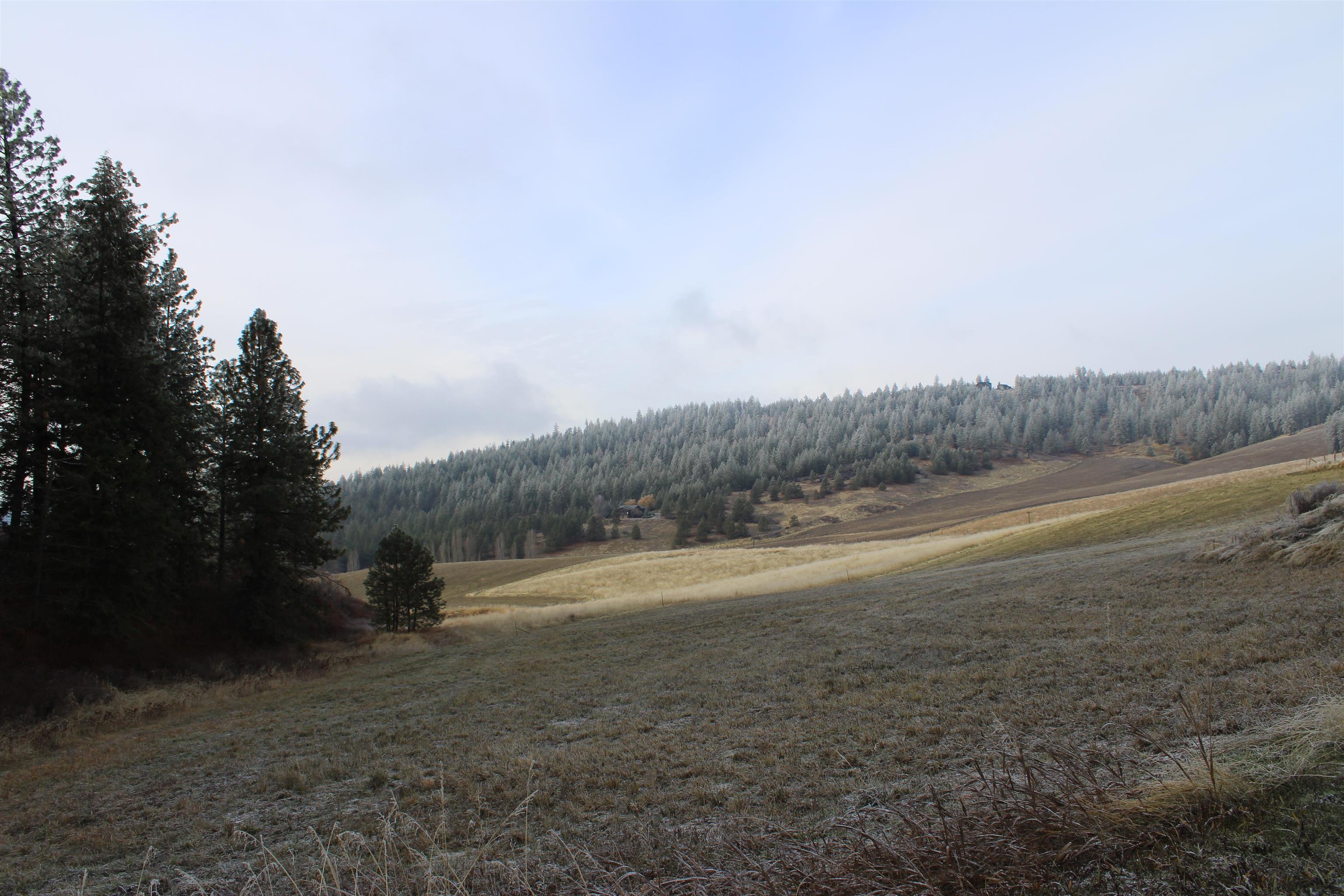 7601 West Bernhill Road Spokane, WA 99208 - Photo 35 of 38