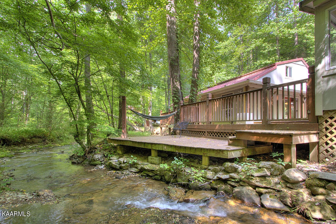 5041 Mathis Branch Road Cosby, TN 37722 - Photo 2 of 43 Gallery Image 2