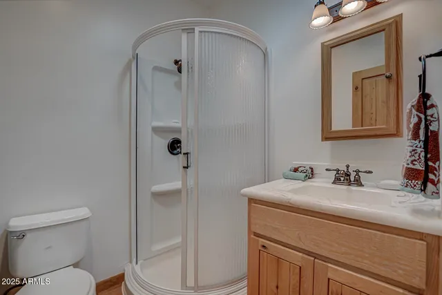 a view of a dining room and livingroom with furniture wooden floor a rug a fireplace