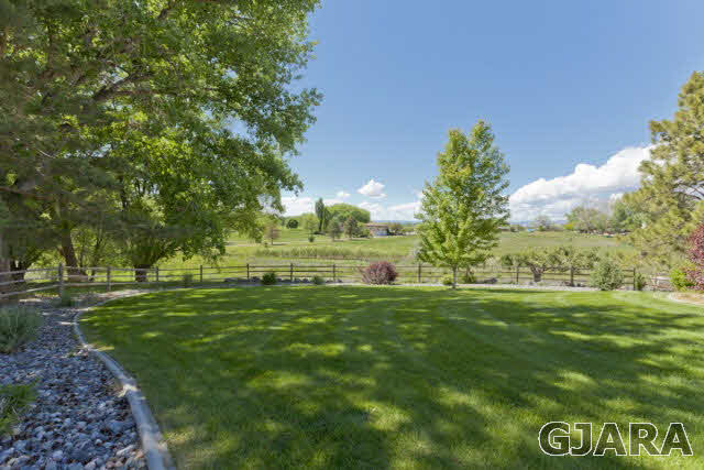 2638 H Road Grand Junction, CO 81506 - Photo 33 of 36 a view of a grassy field with trees