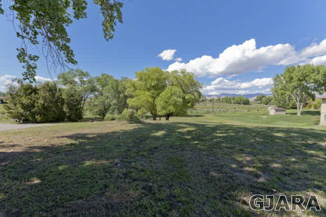 2638 H Road Grand Junction, CO 81506 - Photo 35 of 36 a view of a field with an trees