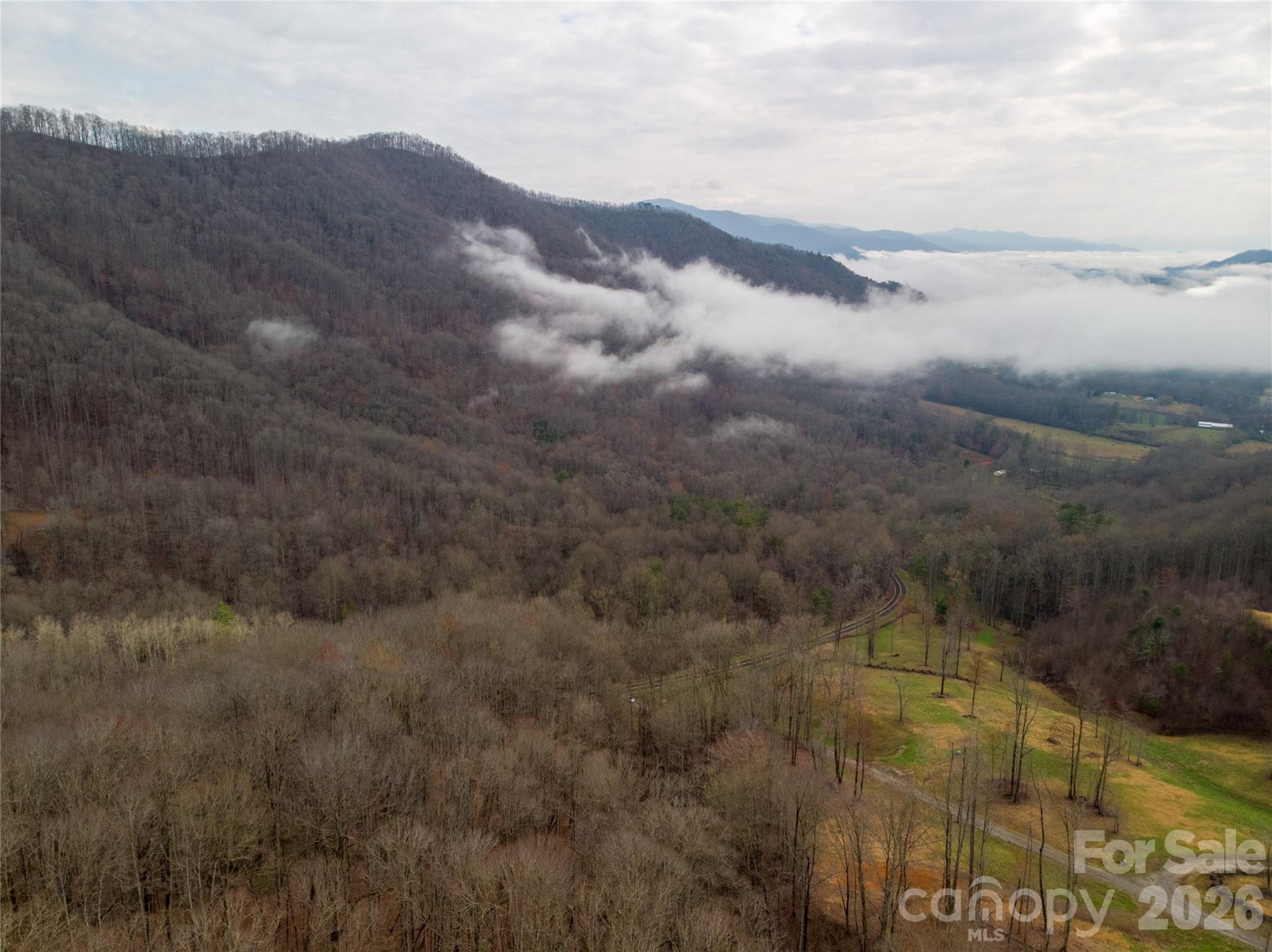 0 Upper Tuskeegee Road Robbinsville, NC 28771 - Photo 5 of 8 a view of a dry yard