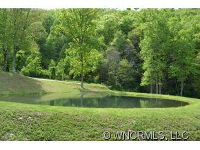 148 View Ridge Parkway, Unit 91 Leicester, NC 28748 - Photo 5 of 16 Gallery Image 5