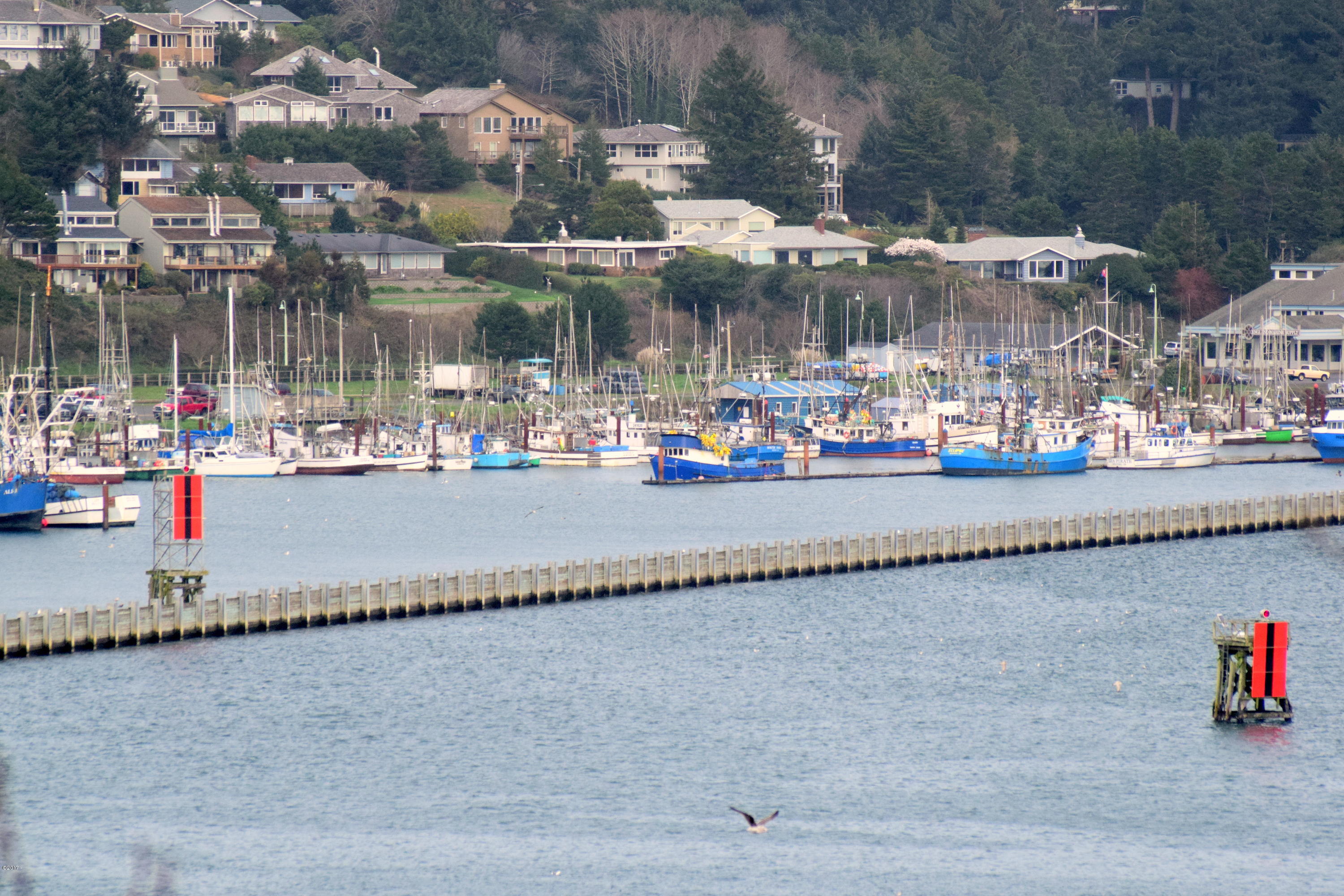 911 Southwest 12th Street Newport, OR 97365 - Photo 5 of 29 Telephoto Harbor View