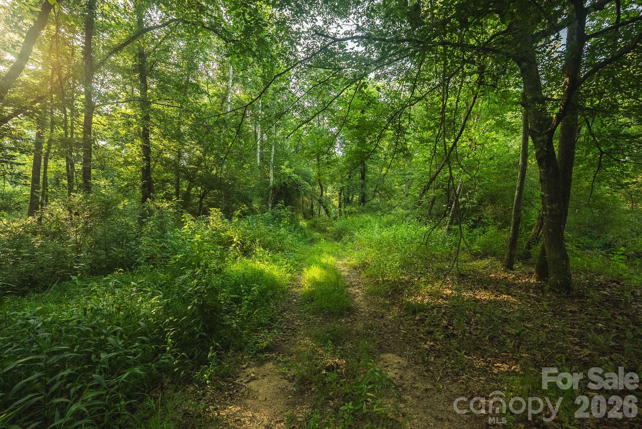 Tbd Sandbar Road Granite Falls, NC 28630 - Photo 39 of 43