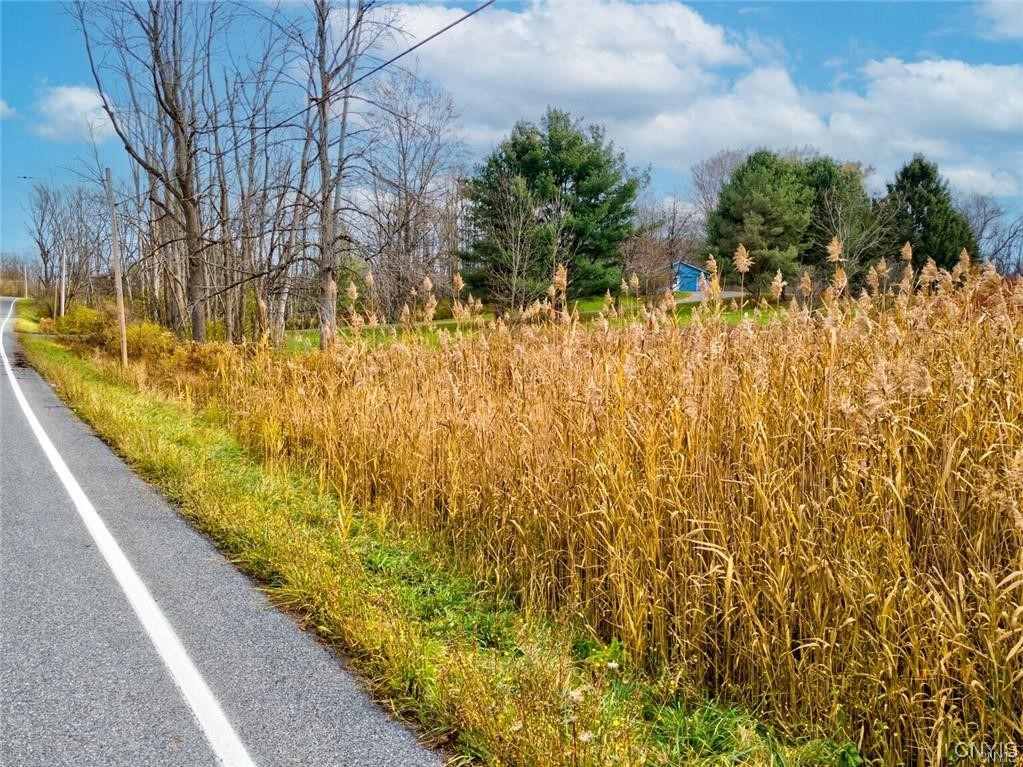 0 Maider Road Clay, NY 13041 - Photo 11 of 12