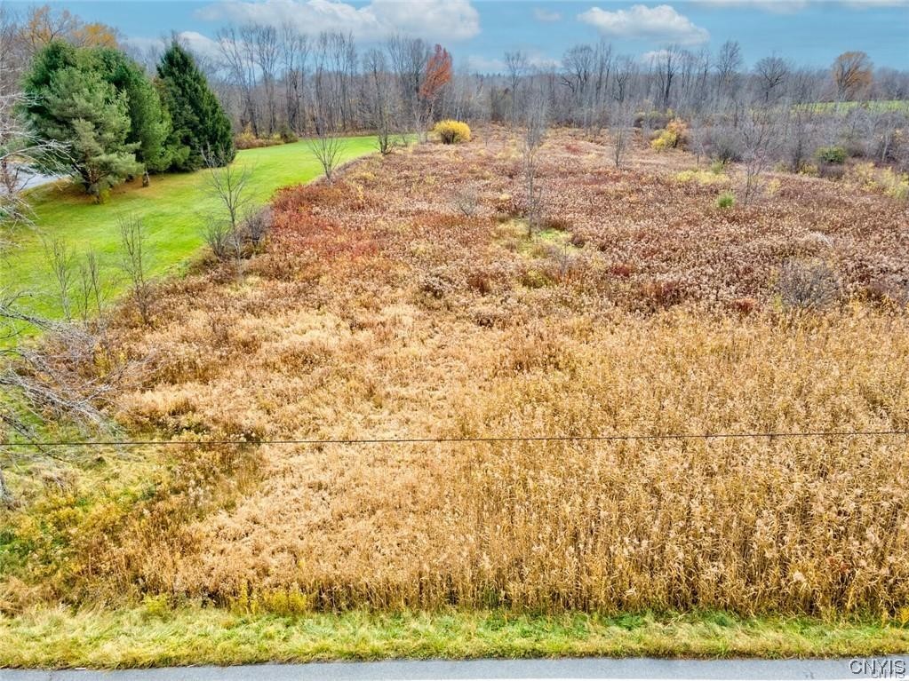 0 Maider Road Clay, NY 13041 - Photo 12 of 12