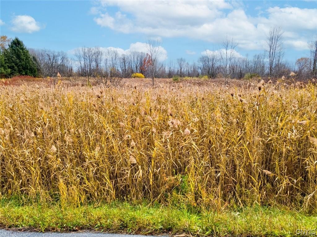 0 Maider Road Clay, NY 13041 - Photo 7 of 12