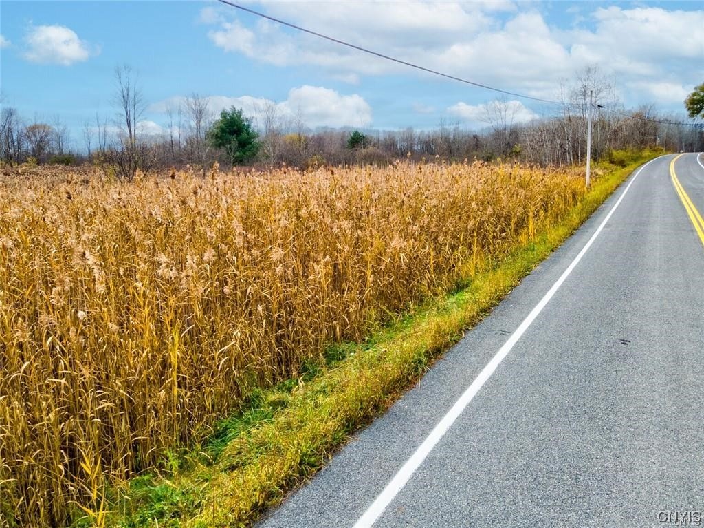 0 Maider Road Clay, NY 13041 - Photo 8 of 12