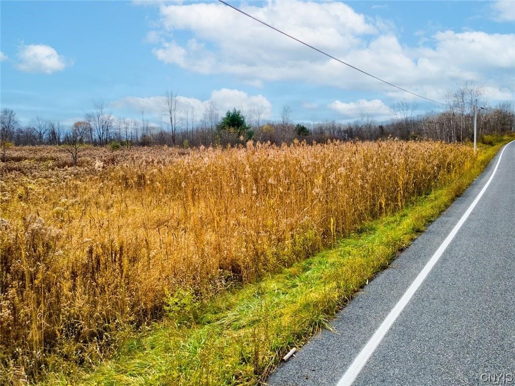 0 Maider Road Clay, NY 13041 - Photo 10 of 12