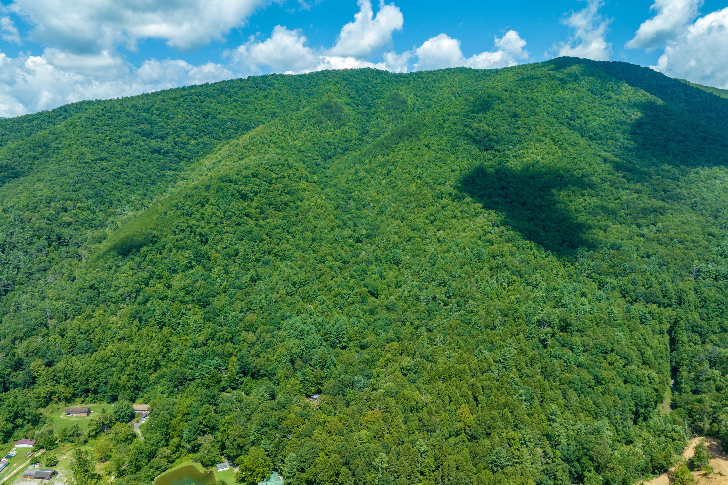 1361 Doe Creek Road Butler, TN 37640 - Photo 25 of 60 136 Doe Creek Road (8 of 51)