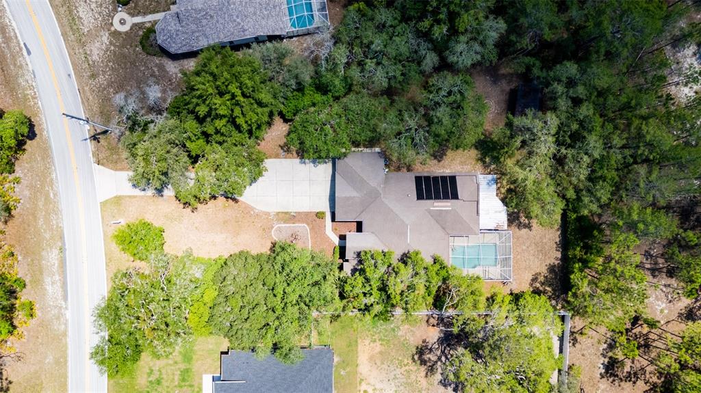 9183 Nightingale Road Weeki Wachee, FL 34613 - Photo 29 of 32