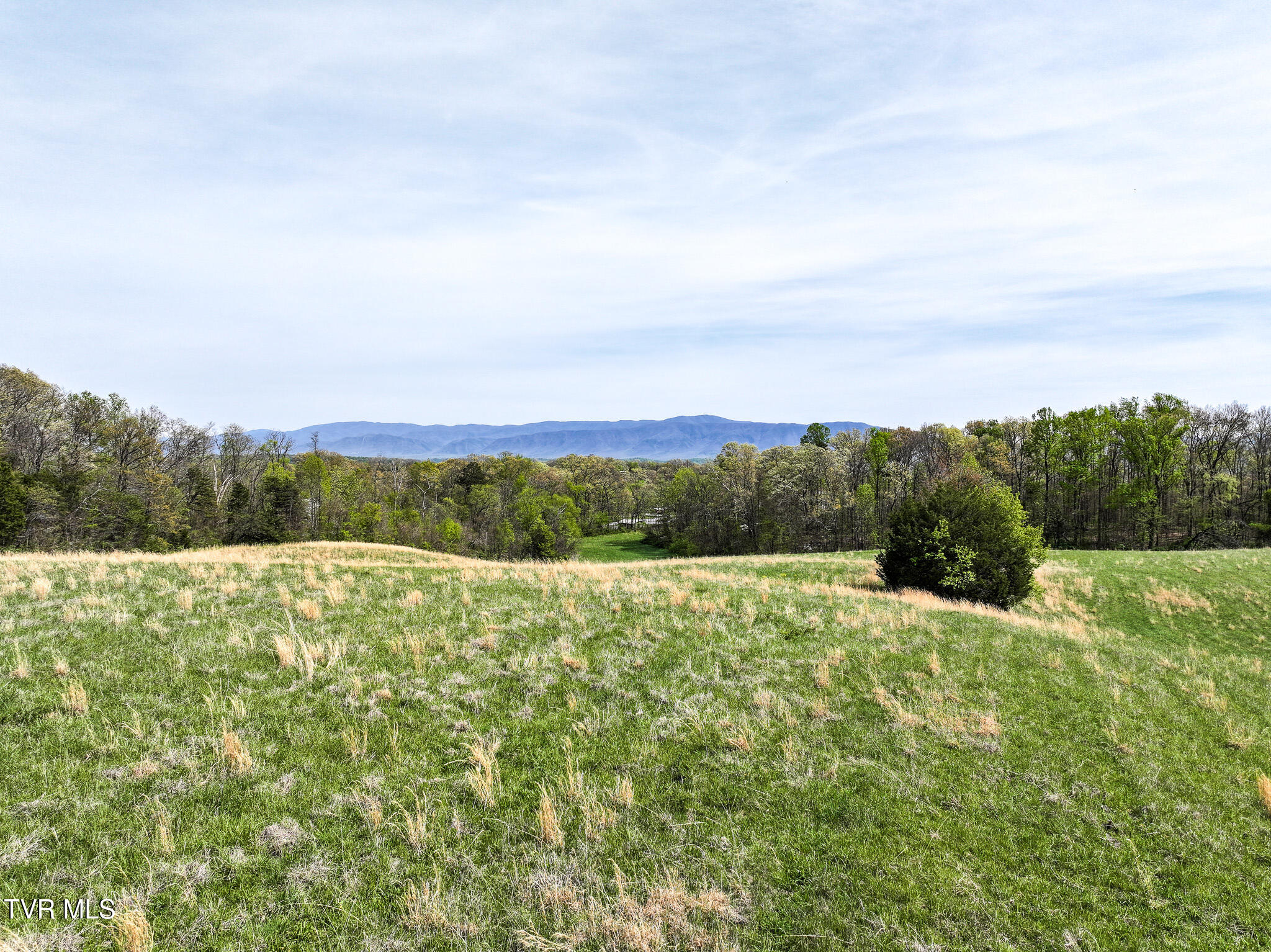 1625 Lick Hollow Road Greeneville, TN 37743 - Photo 16 of 70 DJI_20260408140206_0325_D