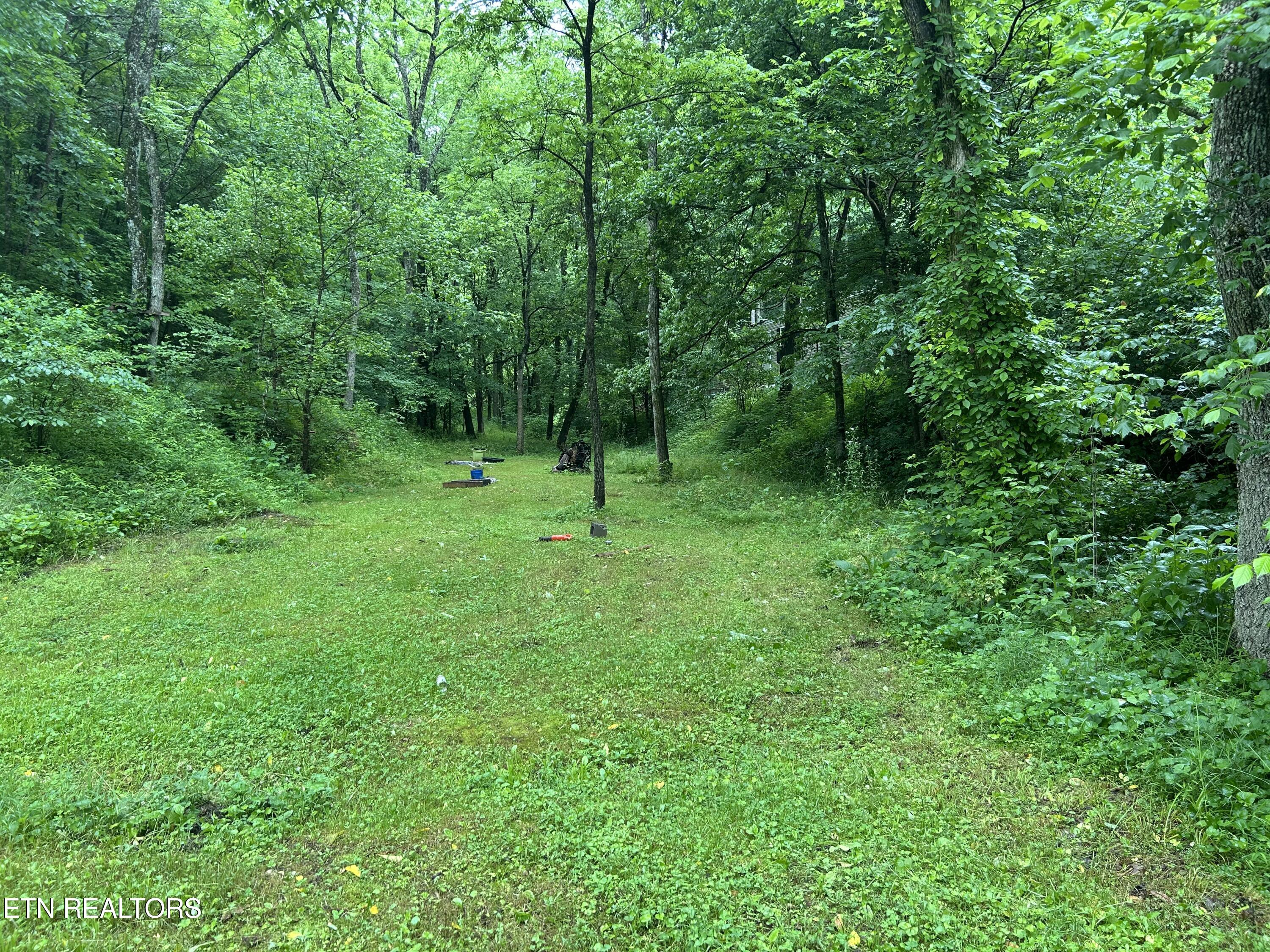 Carlos Road Sneedville, TN 37869 - Photo 2 of 5 IMG_1517