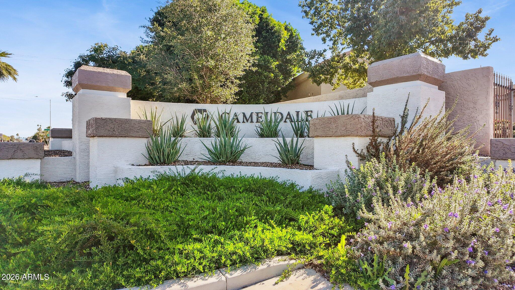 8100 East Camelback Road, Unit 129 Scottsdale, AZ 85251 - Photo 11 of 13 a view of a garden with potted plants