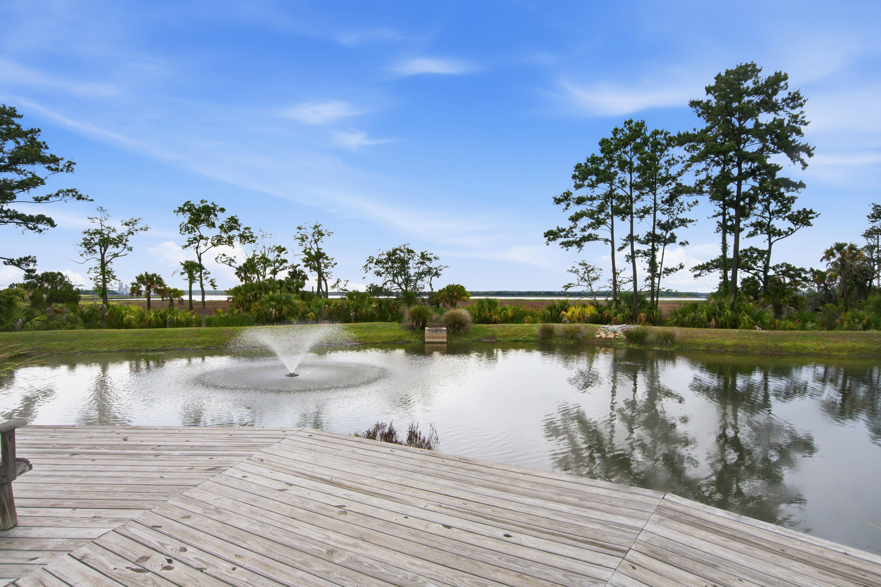 517 Spring Hollow Drive Charleston, SC 29492 - Photo 39 of 48