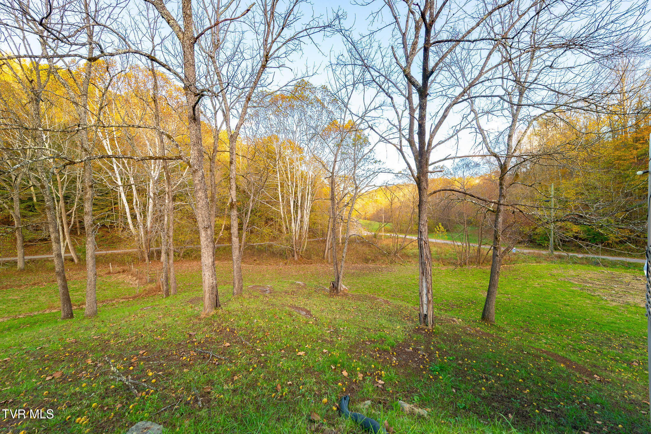 1668 Fowlers Br Road Hiltons, VA 24258 - Photo 10 of 37 acreage