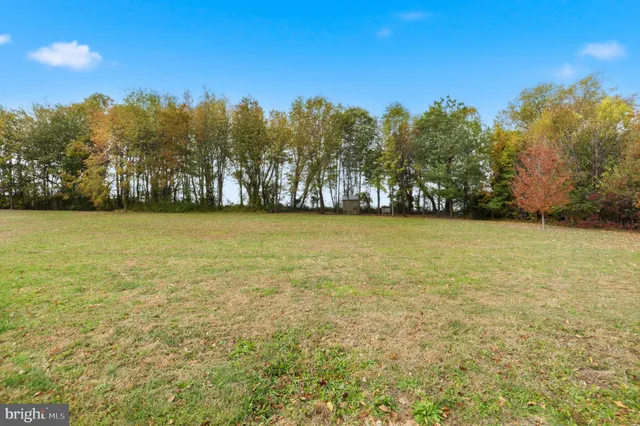 a view of yard with trees in background
