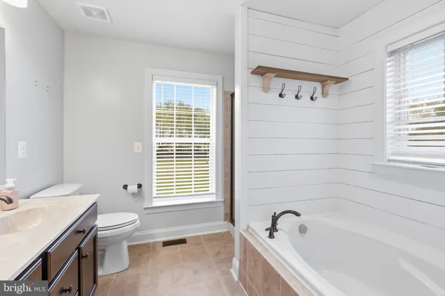a bathroom with a double vanity sink a large mirror and a toilet
